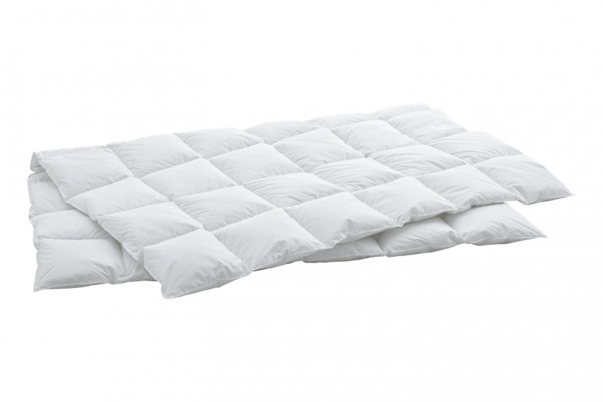 Пуховое одеяло SWISS DREAM CARO LIGHT CLC90