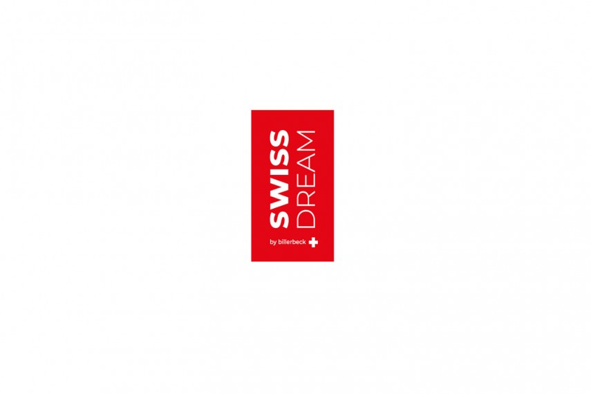 Пуховое одеяло SWISS DREAM CARO LIGHT CLC90